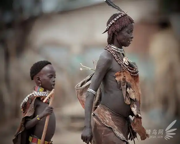 生灵探寻非洲原始人的生存状态