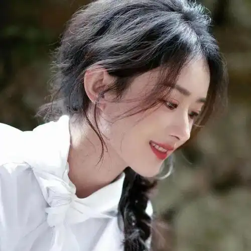 赵丽颖头像 点赞好运