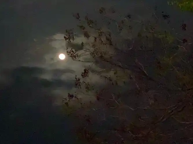 十五的月亮十六圆手机拍摄