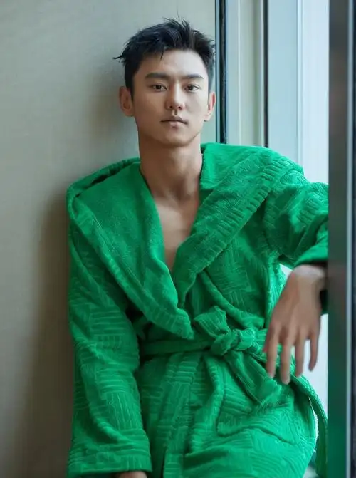 大陆男明星(大陆男明星40岁以上图片)-第3张图片-科灵网