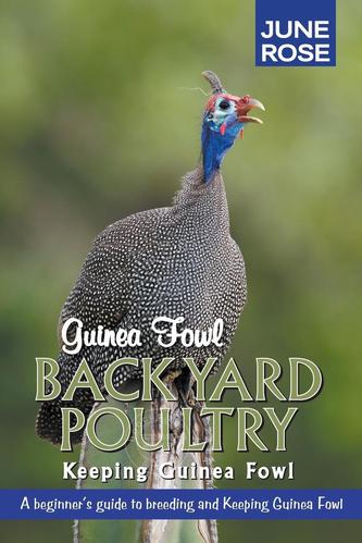 【2周达】【预售 按需印刷】guinea fowl, backyard poultry