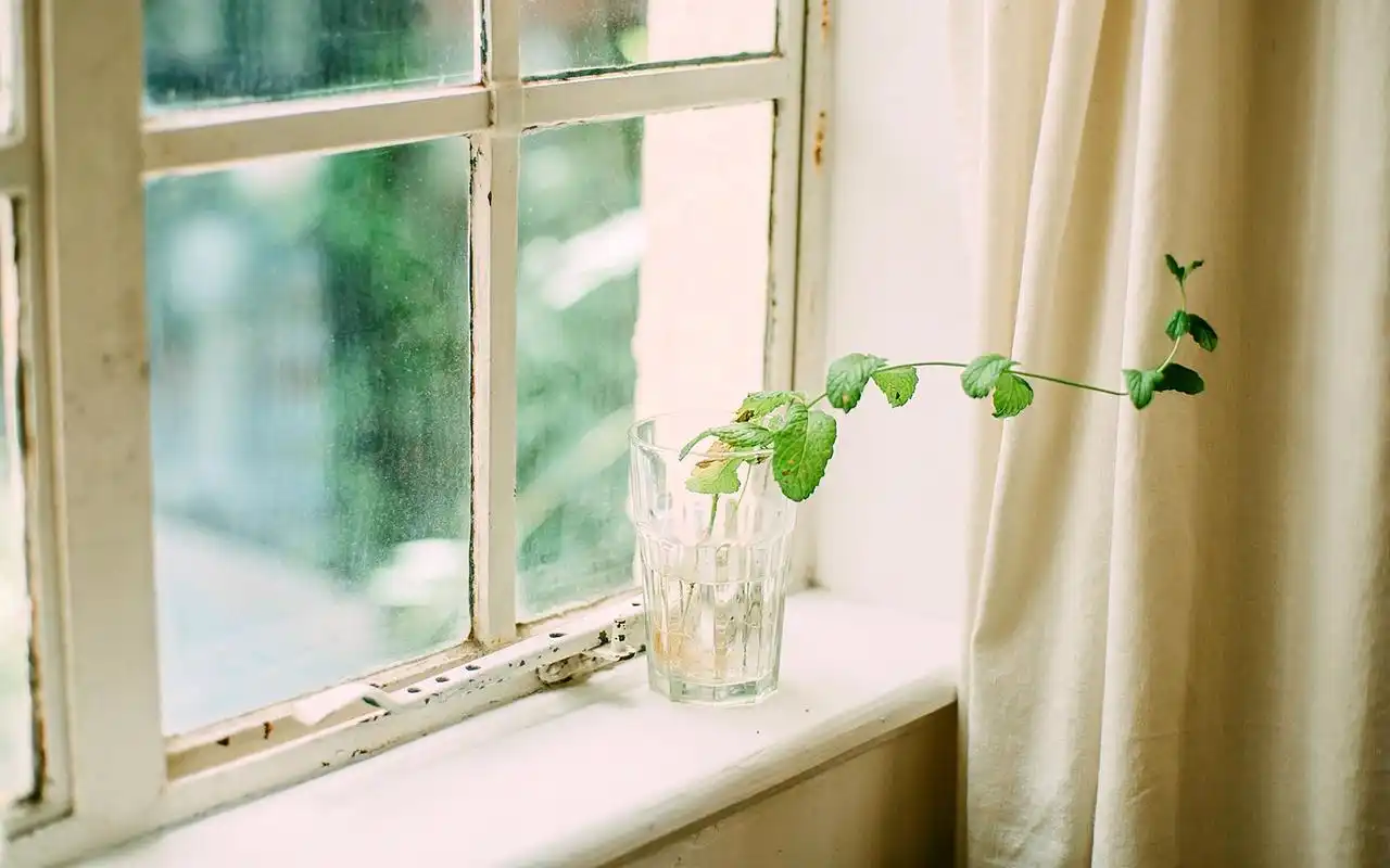 上一张 下一张 简介 室内静物唯美文艺范图片桌面壁纸,简约文艺小清新