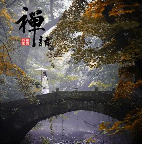 有茶心,方悟禅意,禅是茶,茶便是禅