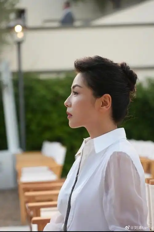 刘涛优雅知性大气的美