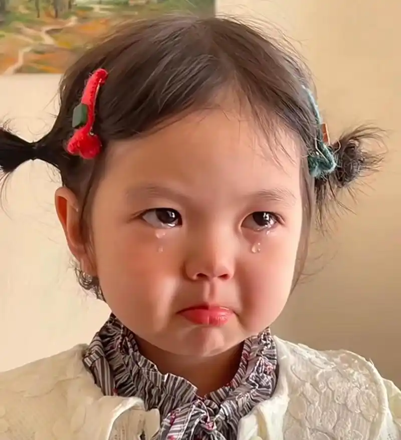 这小女孩太可爱了,哭的那叫一个梨花带雨,楚楚动人. #搞笑趣味图