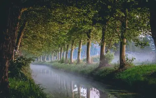 自然风光,唯美,美景,风景世界上最美的风景就是大自然的风景 壁纸图片