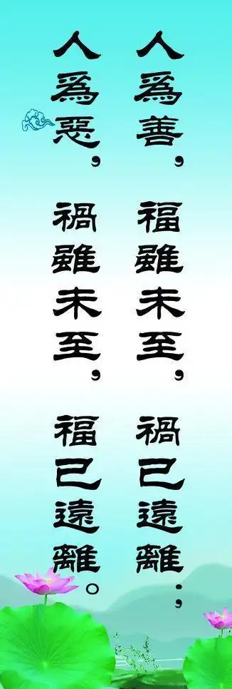 荷花背景善恶图片