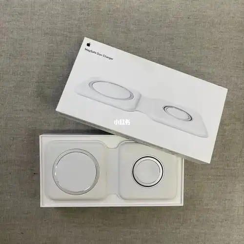 magsafe双项充电器