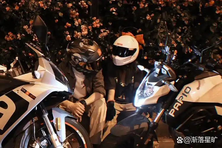 机车情侣头像|金华这片蔷薇花也太浪漫了叭