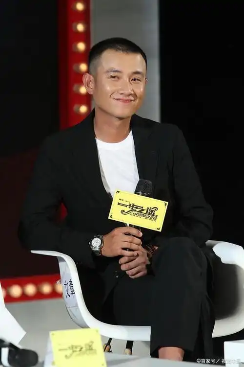 爱与梦想的轮回:文章与马伊琍的离婚与新恋情