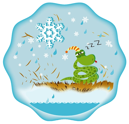 蛇冬眠,气温低.