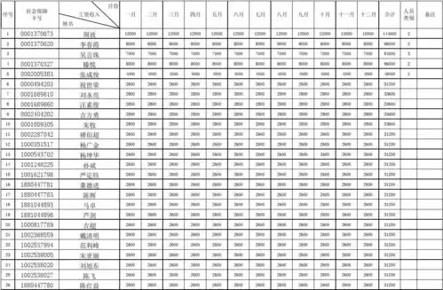 收入台账电子表格样式