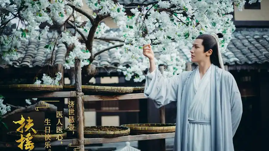 古装电视剧《扶摇》