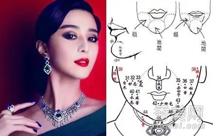 美人沟下巴面相学_下巴美人沟女人的命运_女人美人沟下巴面相