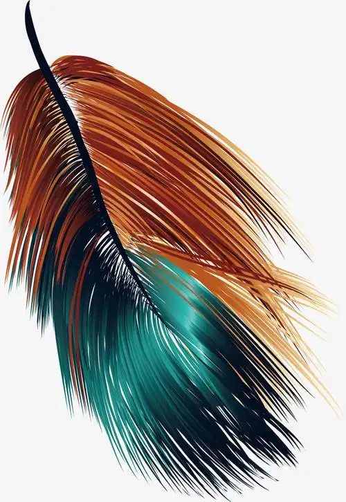 手绘精美彩色羽毛