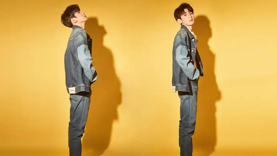 可萌可帅的王源