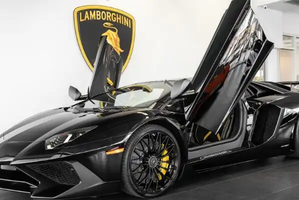 兰博基尼十款最贵的车 urus垫底,第一全球只有九台(2)