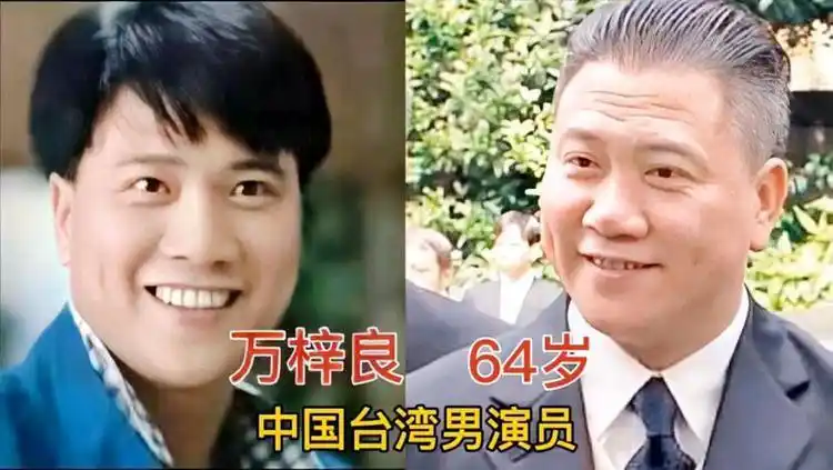 13位港台男演员今昔对比,网友:能记得五位以上的说明都老了_网易视频