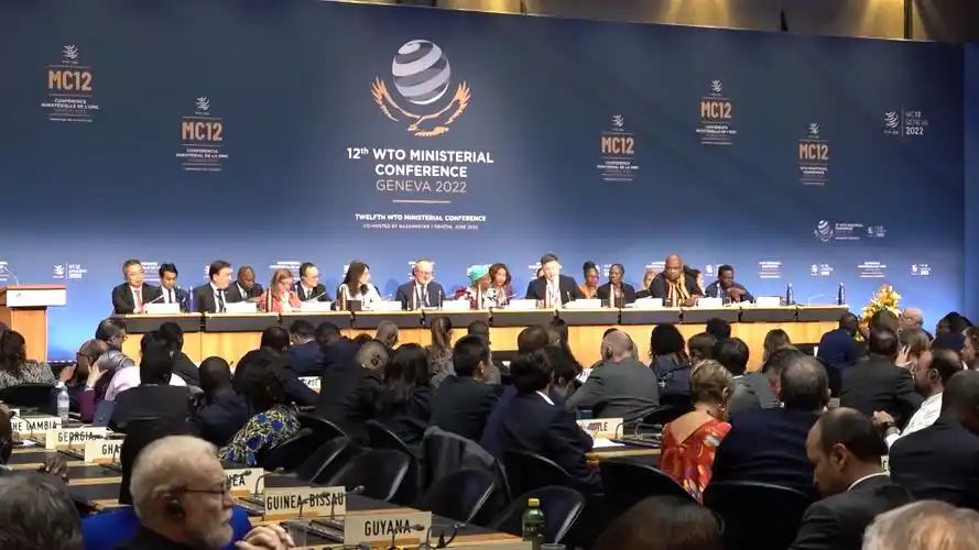 2016年,杭州g20峰会推动达成《g20全球投资指导原则》,为2017年世贸