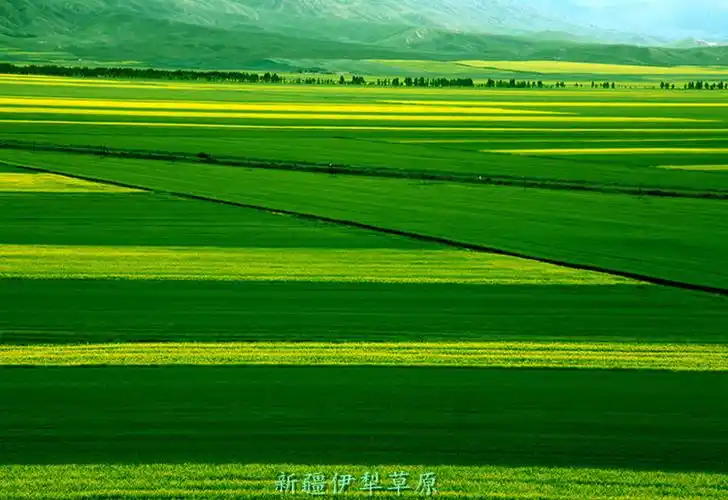 【十大精华】中国最美的十大草原 - 开心 - 开心博客