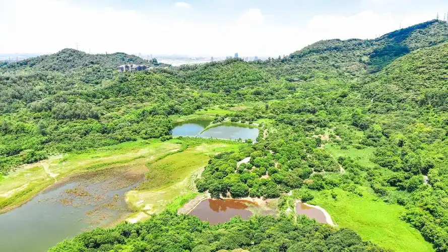 遇见黄山鲁森林公园作为广州地区最大的免费森林公园这里的环境并没有