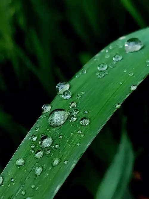 1080_1439竖版 竖屏