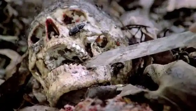 亚洲食人族真正的人吃人骷髅满地都是