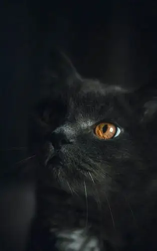 手机壁纸高清黑色系个性锁屏壁纸