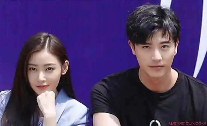 张天爱徐开骋关系