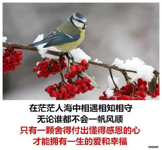 相遇在天相守在人珍惜在心