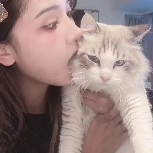 猫头像女生情侣头像名