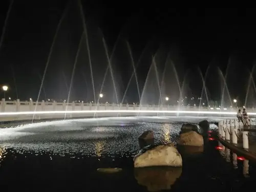 请你欣赏元谋凤凰湖公园夜景集锦