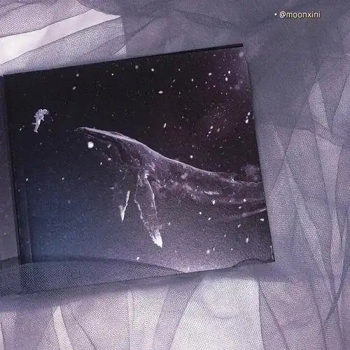 7615exo的这张 真的是我的梦中专辑!