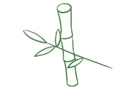 竹子简笔画画法步骤图片大全