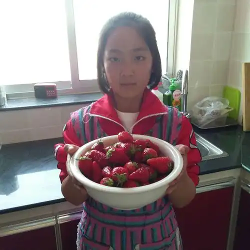 东江小学四年级一班宋文丽劳动最光荣