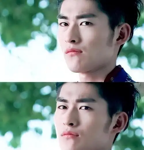 40岁张翰"断崖老去",娱乐圈的残酷,在他身上表现得淋漓尽致