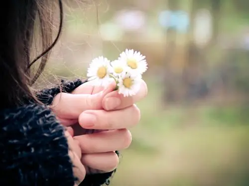 每日精品壁纸图片 _ 图片网