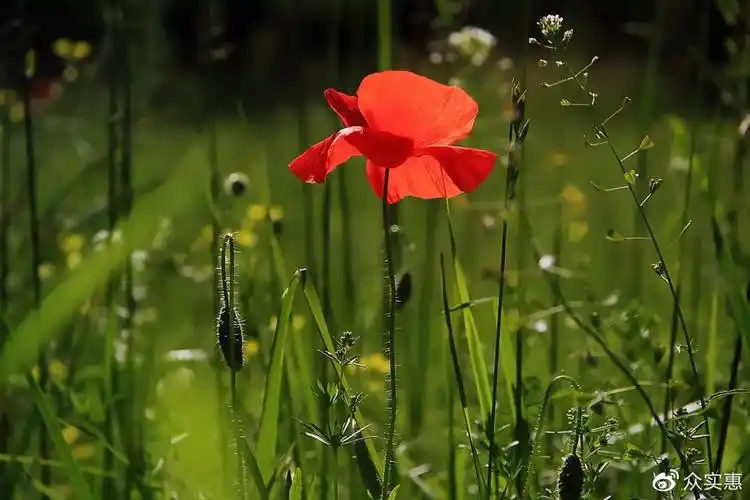 2021最红最牛的个性签名万里挑一总有一条适合你