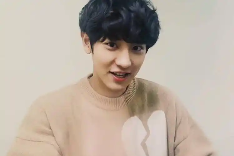 exo 朴灿烈 朴灿烈壁纸 朴灿烈锁屏 拿图点赞