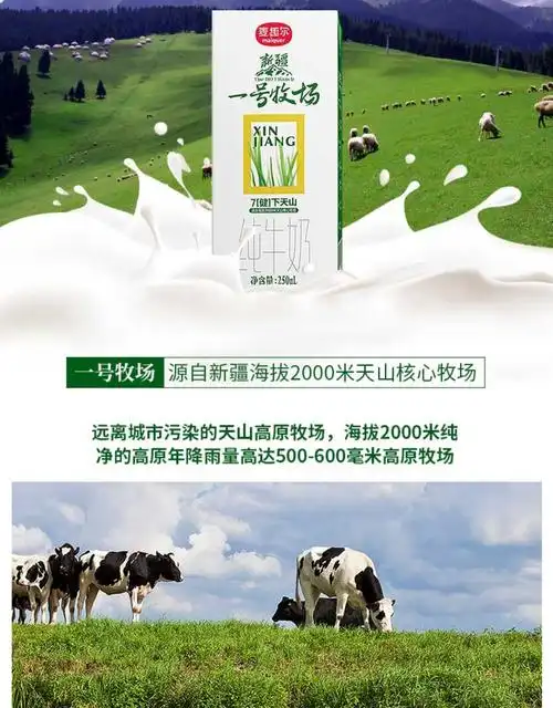 新疆麦趣尔一号牧场纯牛奶250ml*12特浓营养早餐奶全国多地区包邮
