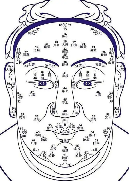首页 风水命理 男人面相全解 不同面相决定不同的命运   面相是一种
