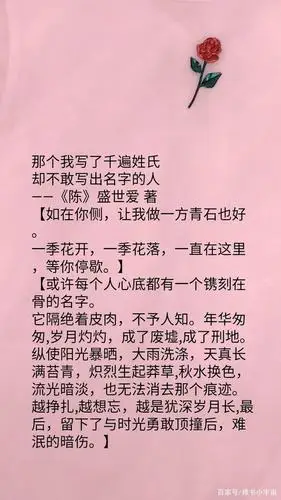 破镜重圆微虐文《陈》,再多喜欢被伤痛覆盖,再深的爱也不敢面对