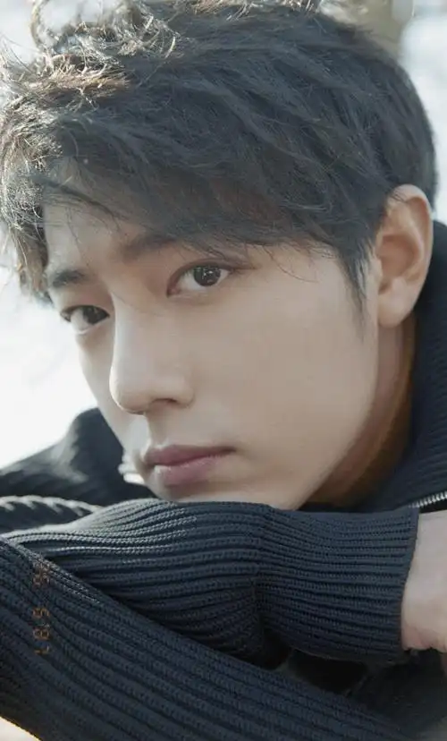 时尚芭莎陈情令肖战