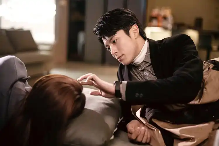 《理智派生活》:月尊大人的年下弟弟体验,职场与爱情的双重考验