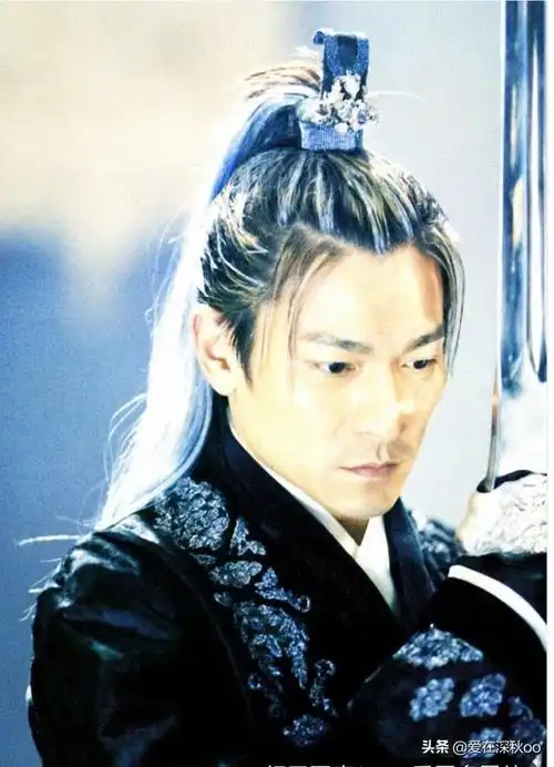 刘德华有哪些两个男主角的电影推荐? - 石塘网