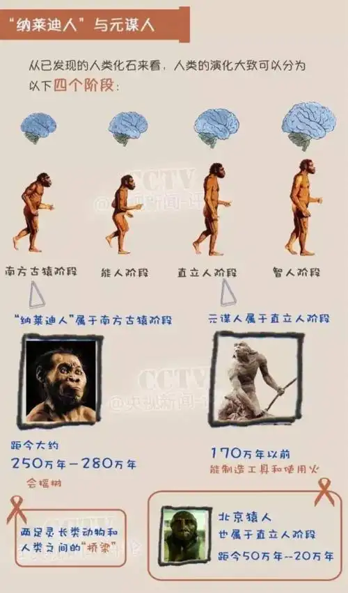 十大早期人类杰出的祖先