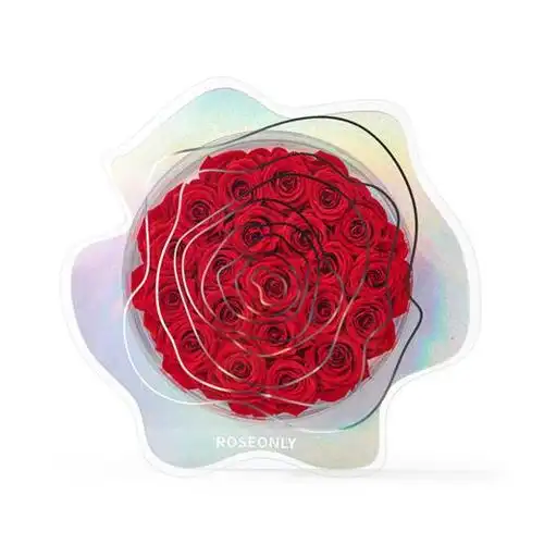 roseonly永生玫瑰玫瑰星云系列21朵40cm