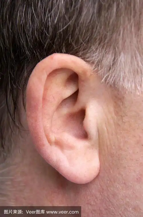 特写,男性,人的耳朵,垂直画幅,衰老过程