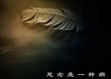 思念一个人时的伤感寂寞滋味的句子说说心情