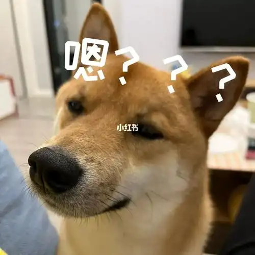 柴犬表情包get04